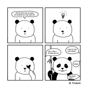 Evolution of panda