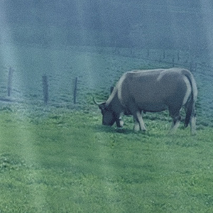 Chapter 2- Autumn 01