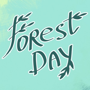 Forest Day collab