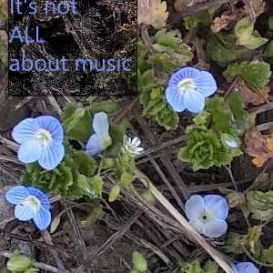  Chapter 1, Berry's POV