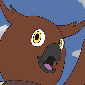 Chapter 1 Pages 10 - 12