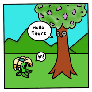 Meet the Bloomerangs!