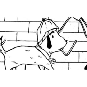 Took my dog for a walk.