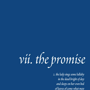 vii. the promise