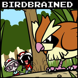 Birdbrained