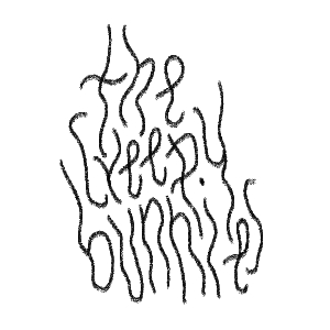 meet the main characters