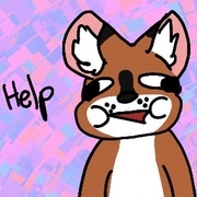 A Day In The Life Of A Dhole