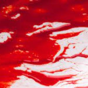 02/04/2022 (Scarlet)