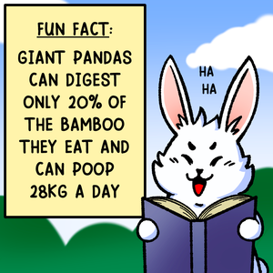 Fun facts