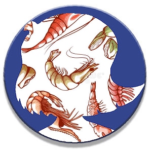 Shellfish Allergy