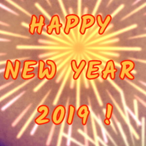 Special Issue #6 - Happy New Year