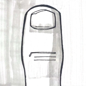 No. 12