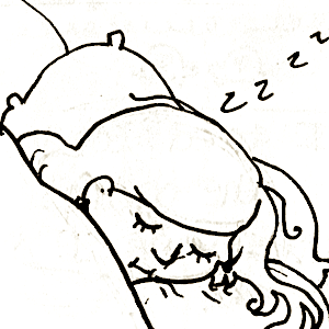 19-03-17: Sleepy Sunday