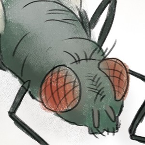 Ep. 4: SO FLY
