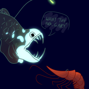 acanthephyra purpurea (mature for swear words i guess?)