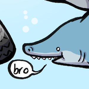 Shark Adventures