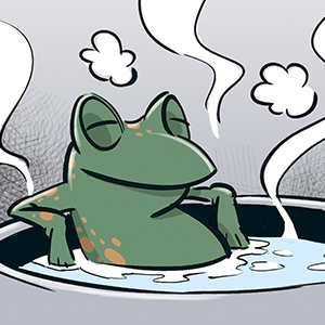 The Boiling Frog