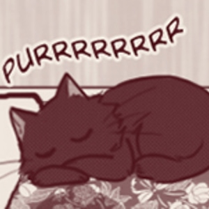 Sleeping Positions