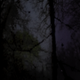 TREE HOLLOW