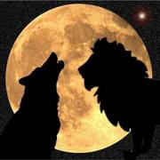 The Wolf and the Lion
