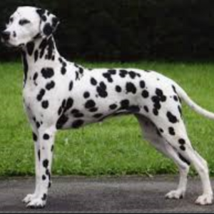 Arriving at Sleepy Hollow 