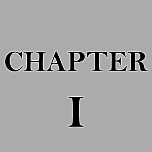 CHAPTER I - COVER