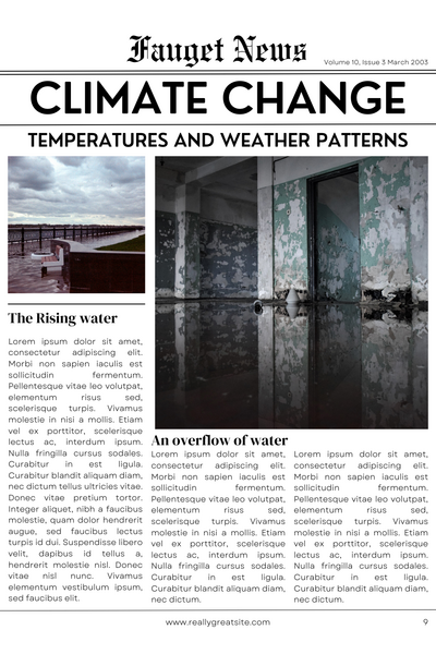 Le journal secret de mes sentiments