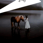 The Magician’s Pony