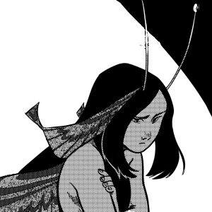 12 - 17 - Summer Feeling