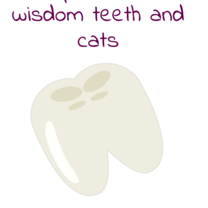 Wisdom Teeth and Cats