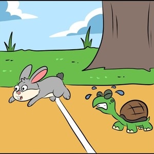 Hare-Tortoise Race But It’s Real Life