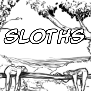 Sloths
