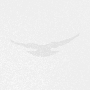 Pr&oacute;logo - Parte 3