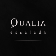 Qualia (Portugu&ecirc;s)