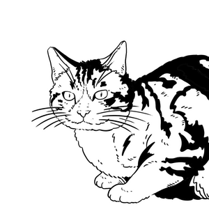 3&deg; - C'&egrave; chi lo chiama amore