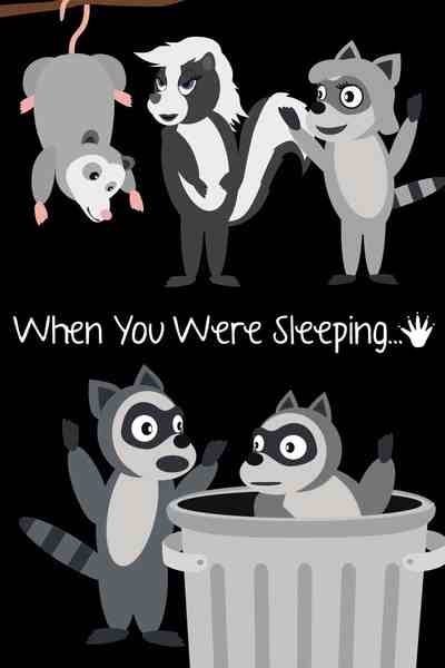 When You Were Sleeping