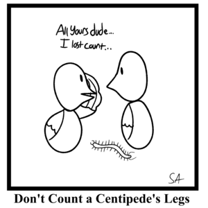 Don't Count a Centipede's Legs