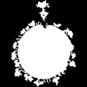 Append Content: *Original sketches and ideas*