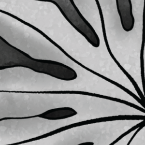 Shifting Perspectives [5/7]