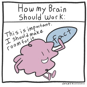 Brain Matters