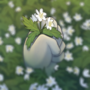 Windflower