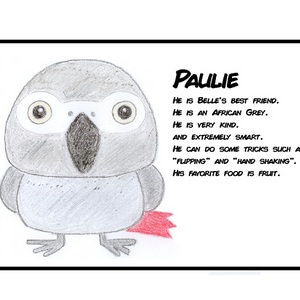 Paulie's Intro