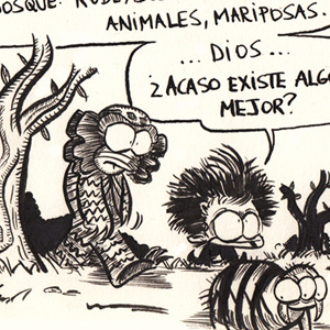 20 | BOSQUE