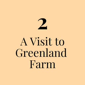 2. A Visit to Greenland Farm