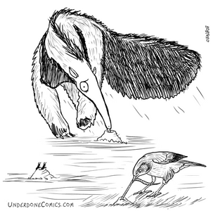 The Late Bird gets the Tongue