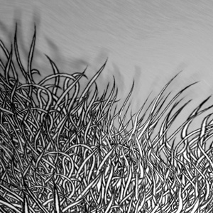 The Long and Winding