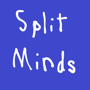 Chapter 11: Split Minds