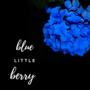 Blue Little Berry