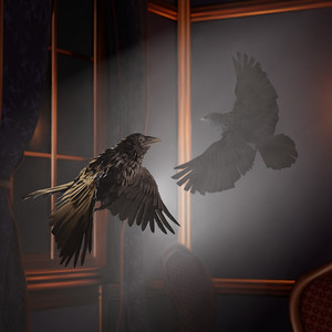 A Polite Request (303)