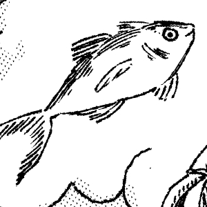 Pages 16-17-18